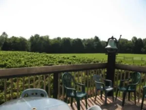 Connecticut Wineries